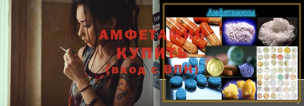 хмурый Алзамай