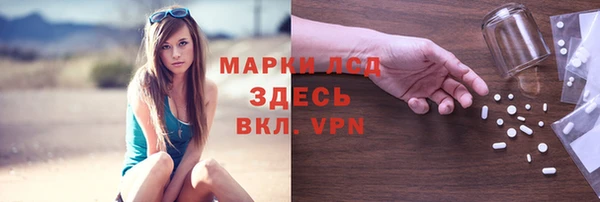 хмурый Алзамай