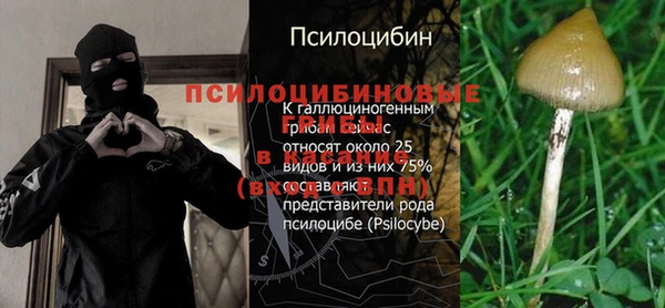 хмурый Алзамай